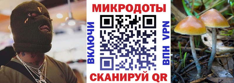 Псилоцибиновые грибы Cubensis  Купить закладки  Кологрив 