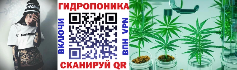 Купить где  Кологрив  Бошки Шишки OG Kush 
